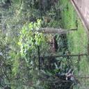 74628716 sq128