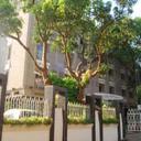 98900848 sq128