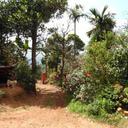59875270 sq128