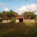 113591240 sq128
