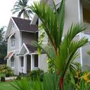 39442430 sq128