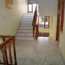 72953227 sq128