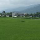 97410976 sq128