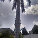 117181970 sq128