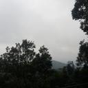 116279047 sq128