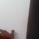 121809631 sq128