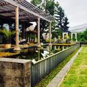 115388228 sq128