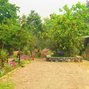 19630879 sq128