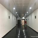 134880596 sq128