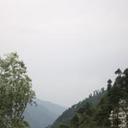 142000454 sq128