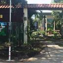141538925 sq128