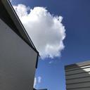 136715667 sq128