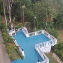 141523937 sq128