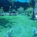 86400546 sq128