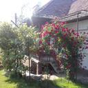 145816628 sq128