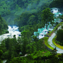21937389 sq128