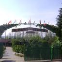 71633511 sq128