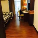 49019686 sq128
