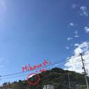 81346597 sq128