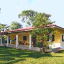 114913277 sq128