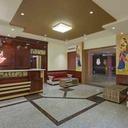 146721637 sq128