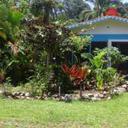 145144217 sq128