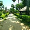 131564656 sq128