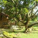 136487768 sq128