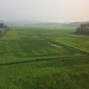 139282777 sq128