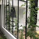 216274737 sq128