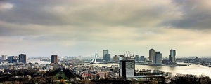 Rotterdam  business medium